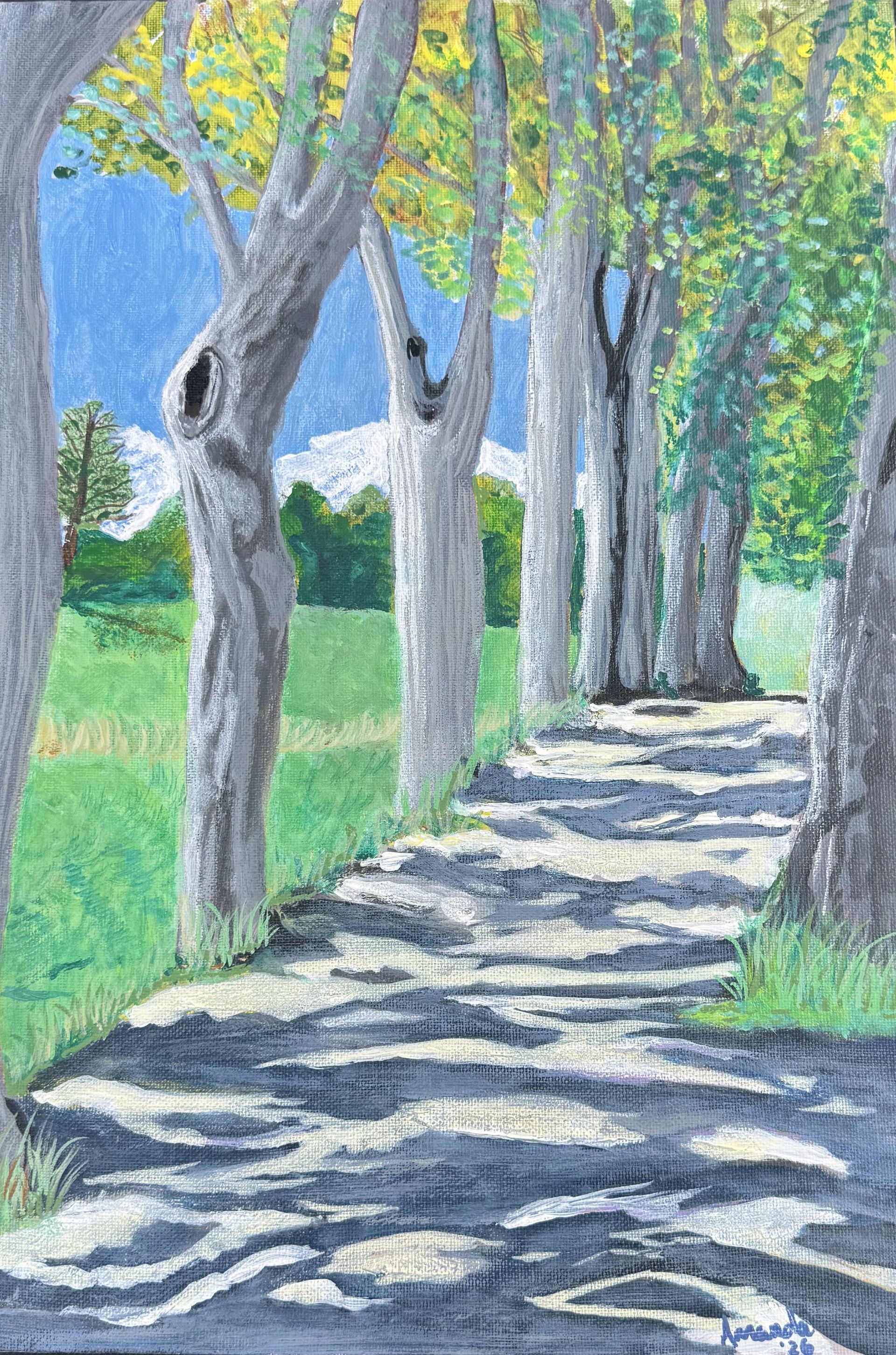 Tree-lined path, white trunks, and green foliage along a blue sky by Amanda Sivewright