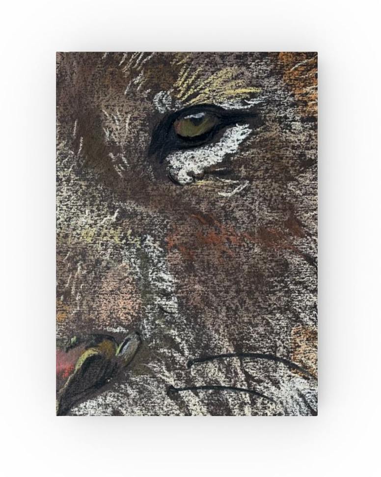 lion-face-illustrated-hardback-journal-wildlife-ske