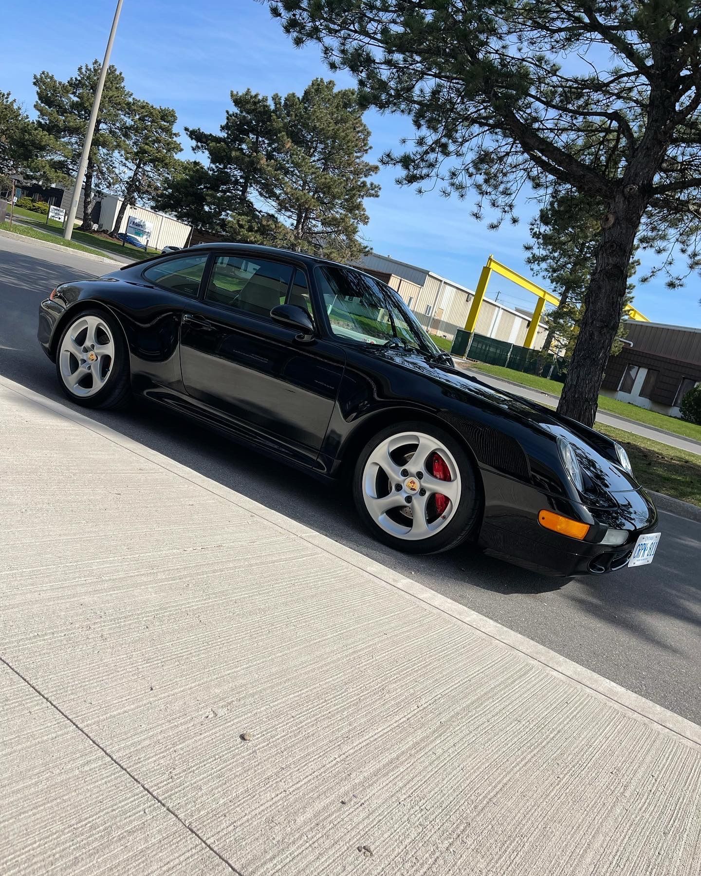 A black Porsche 911 parked on the side of a sunny street next to a sidewalk and a large tree.