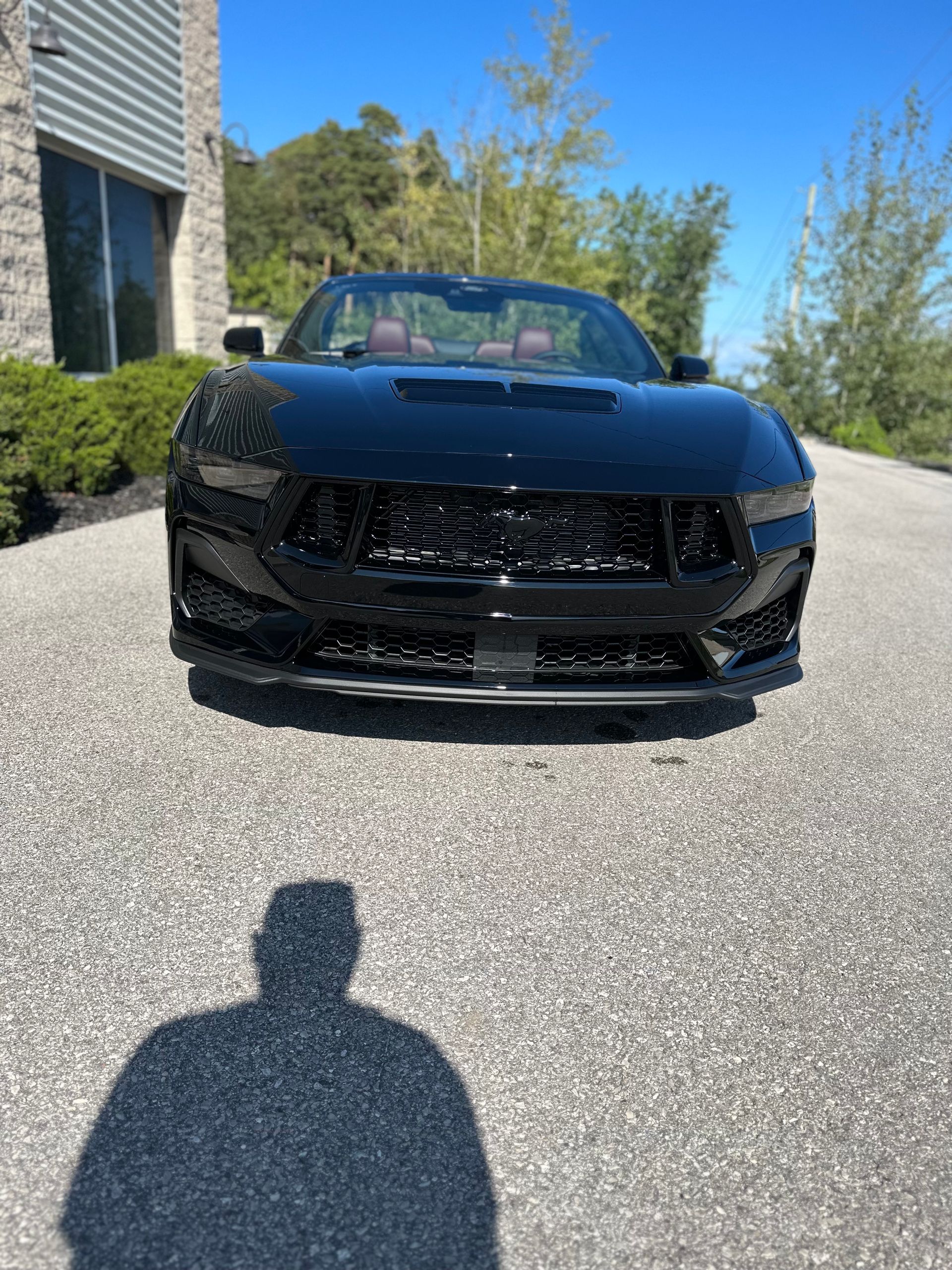 A sleek black Ford Mustang convertible parked on a gravel lot under a clear blue sky.