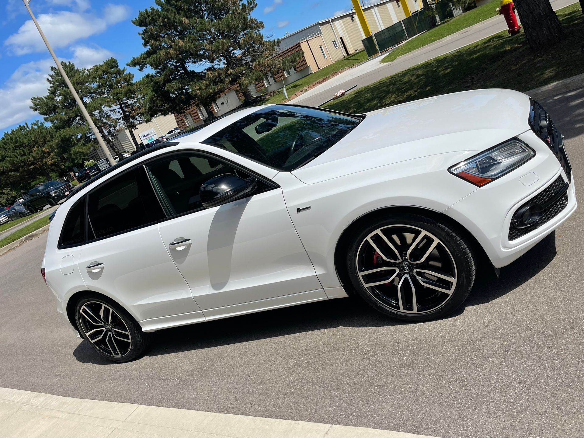 A white Audi Q5 SUV parked on an asphalt lot with trees and buildings in the background.