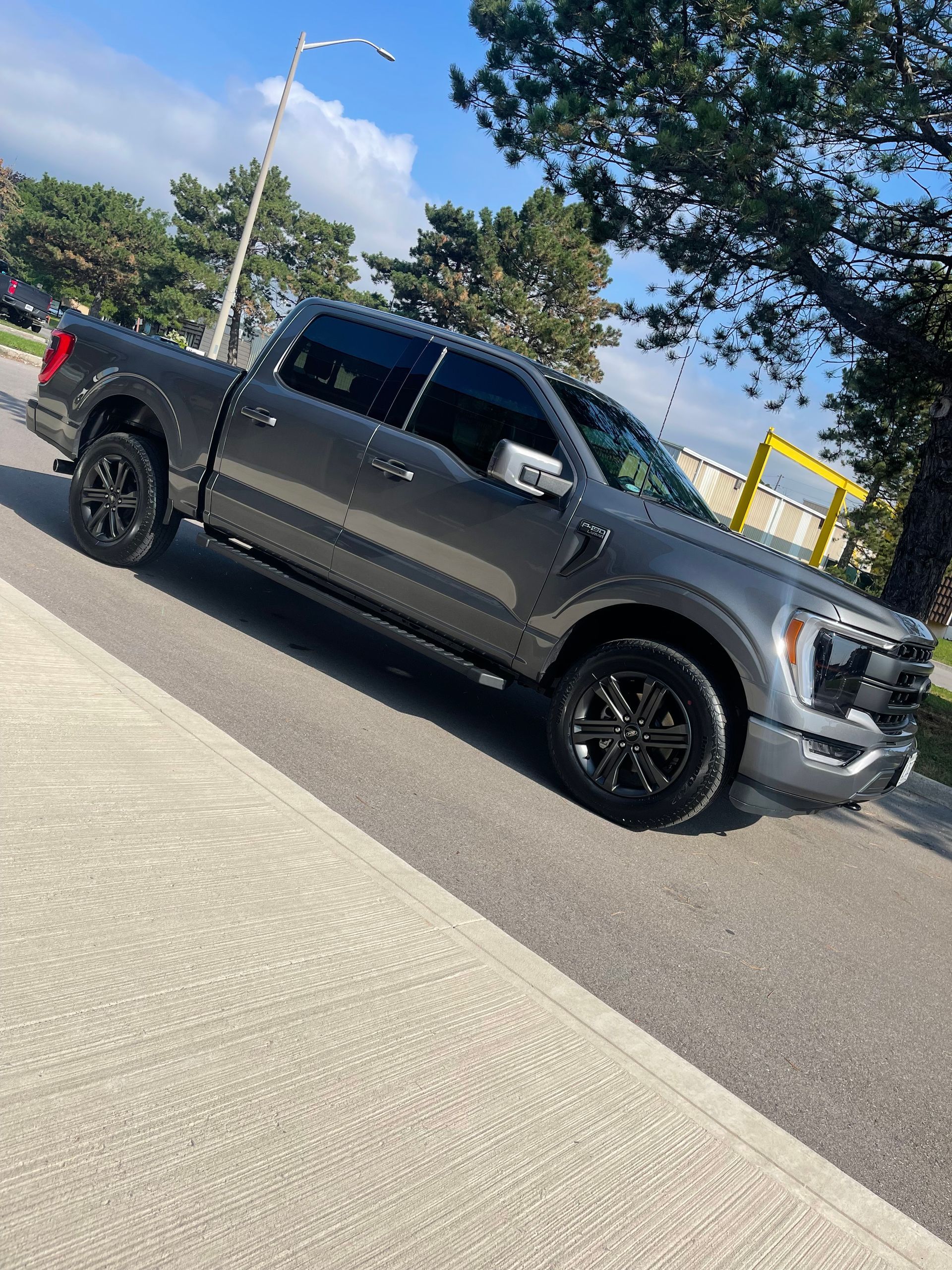 A dark gray Ford F-150 pickup truck parked on a paved street beside a tree under a blue sky.
