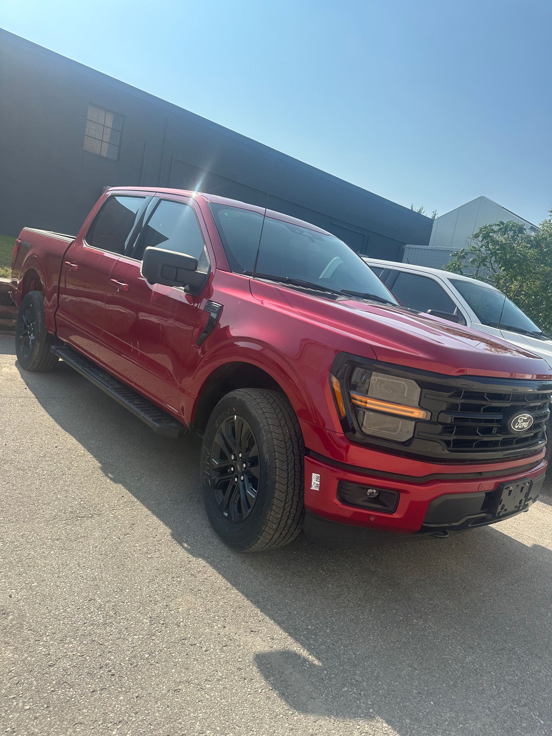 A red Ford F-150 pickup truck parked on a gravel lot next to a white vehicle under a clear blue sky.