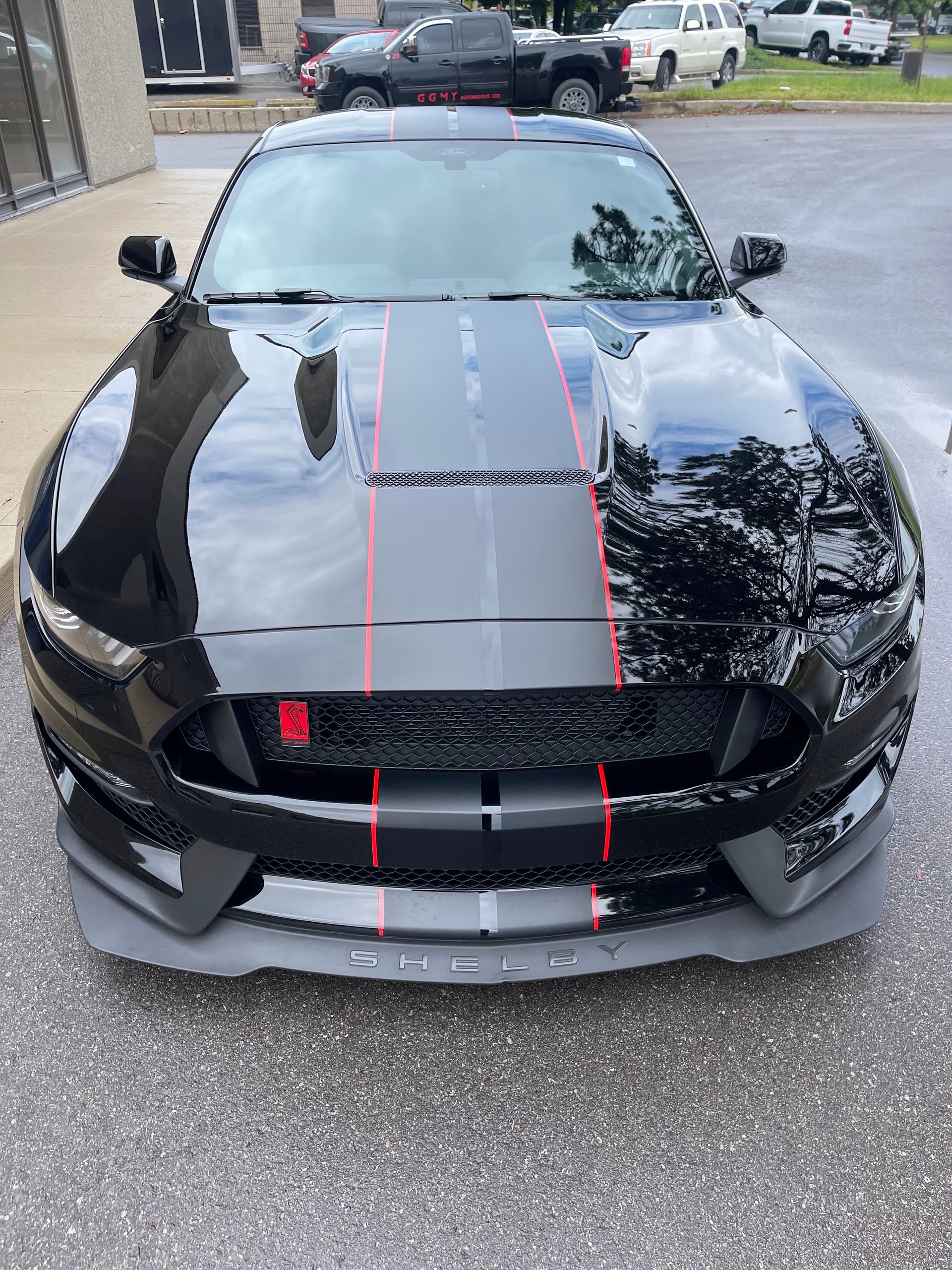 A black Ford Mustang Shelby with grey racing stripes and red pinstripes, parked on an outdoor asphalt lot.