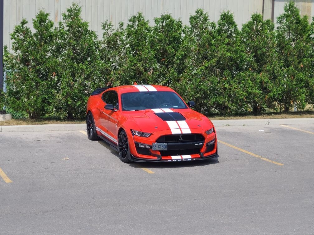 An orange Ford Mustang Shelby GT500 with white racing stripes parked in an asphalt lot in front of evergreen hedges.