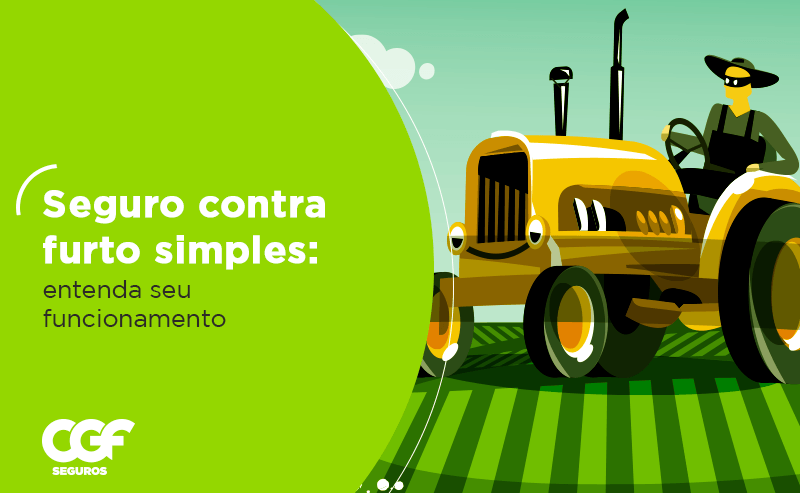 Seguro contra furto simples: Entenda o funcionamento