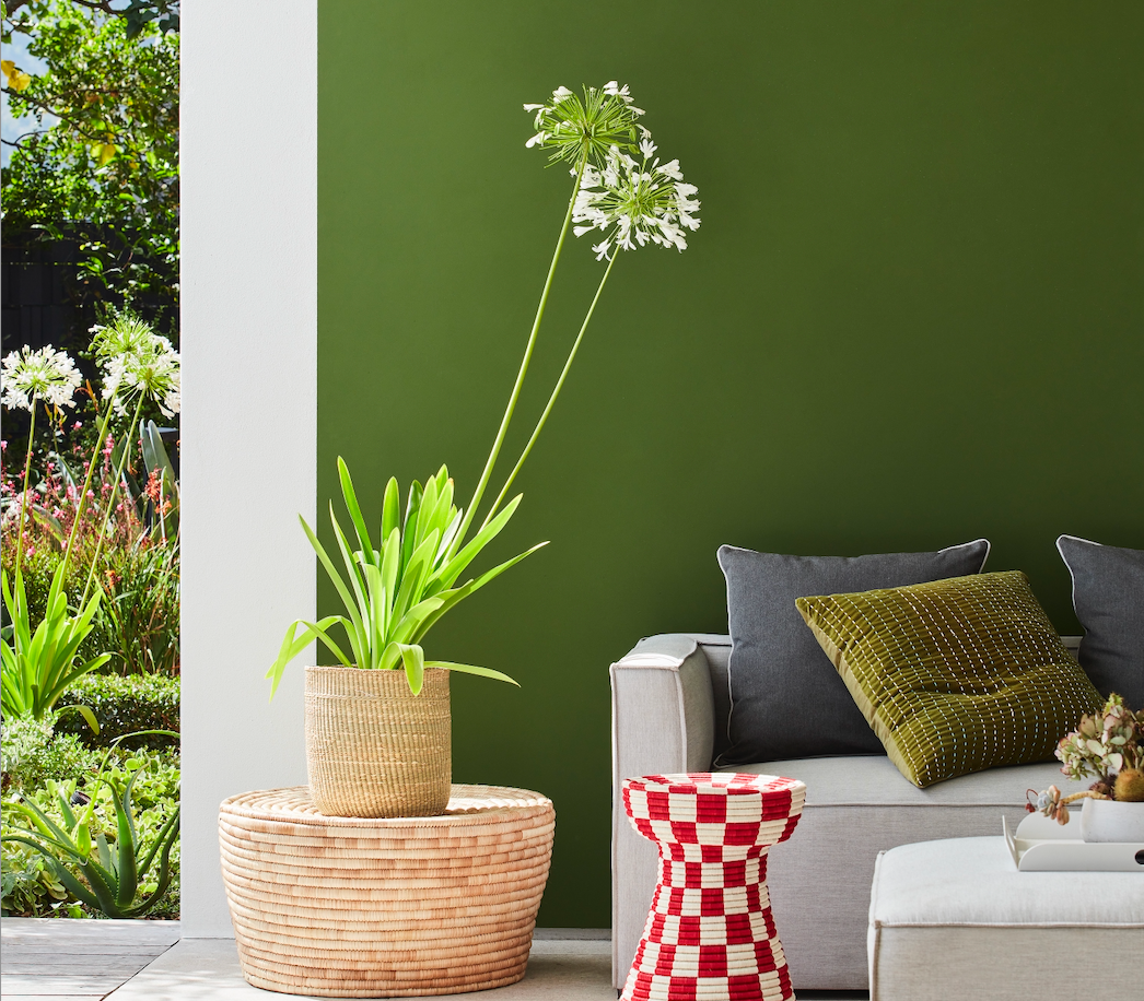 LG - Exterior Paints - Slaked Lime. Jewel Beetle 303