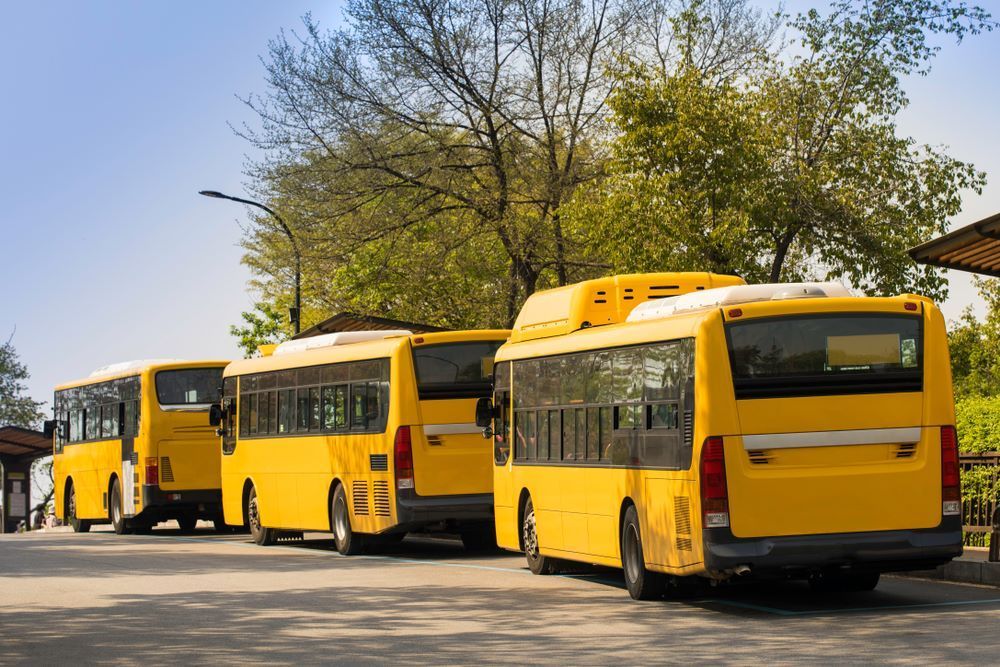 A Row of Yellow School Buses Parked in a Parking Lot — Supportability Care Services in West Rockhampton, QLD
