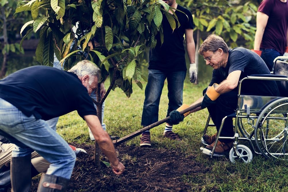 A Man in a Wheelchair is Digging a Hole in the Ground — Supportability Care Services in West Rockhampton, QLD
