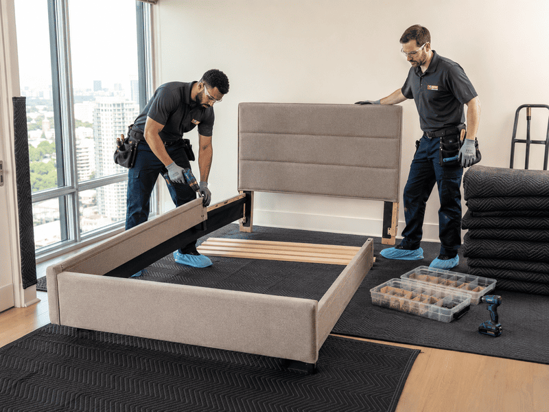 Two movers assembling a gray upholstered bed frame in a bright apartment near a large window