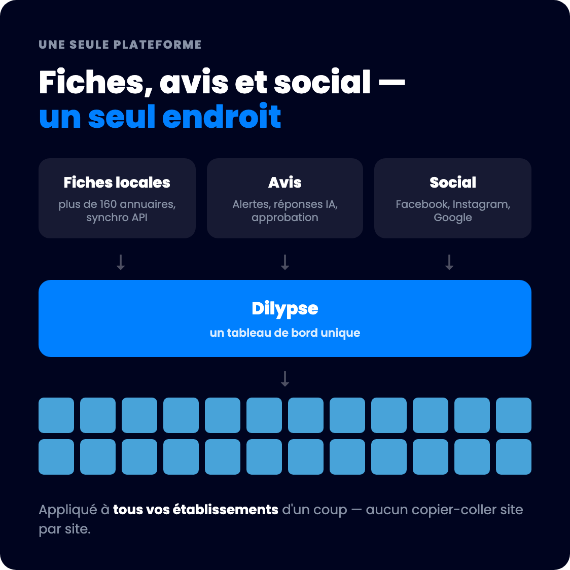 Schéma tout-en-un : fiches, avis et réseaux sociaux convergent vers un tableau de bord Dilypse unique, appliqué à tous les établissements