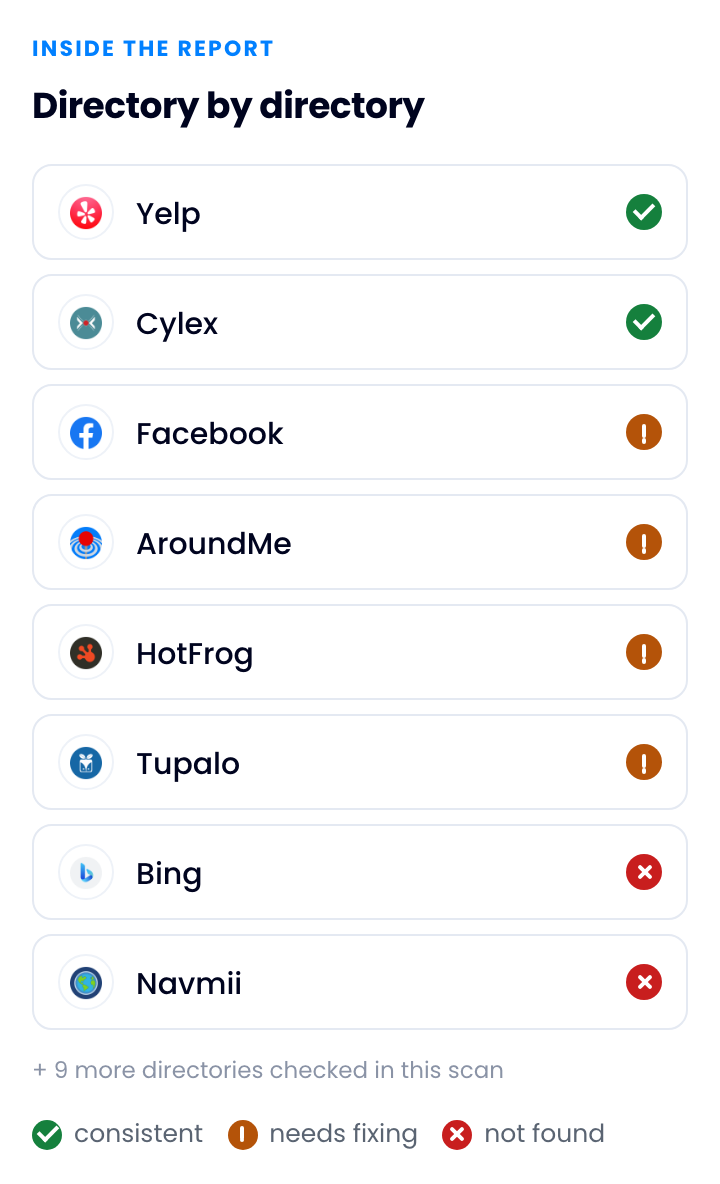 The report's four areas and what each one checks: listings and details, reviews and reputation, map and search, website and performance