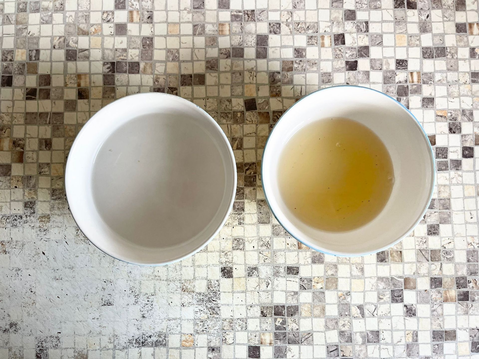 Due ciotole piene di liquido sono appoggiate su un piano piastrellato.