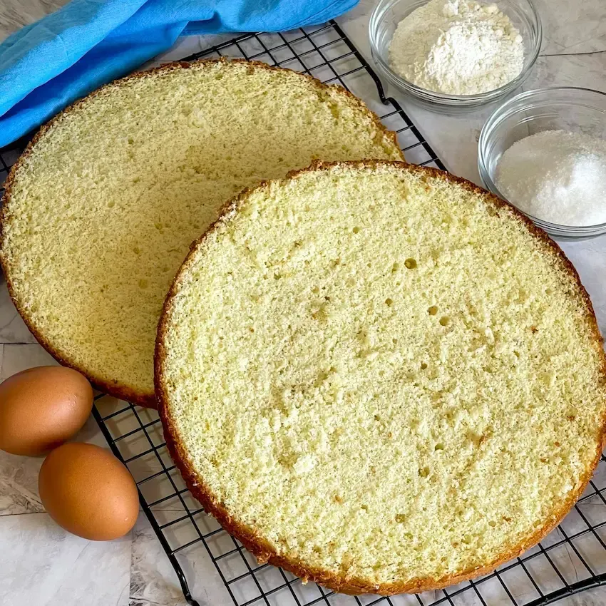 Pan di spagna freddo, pronto per l'assemblaggio della zuppa inglese