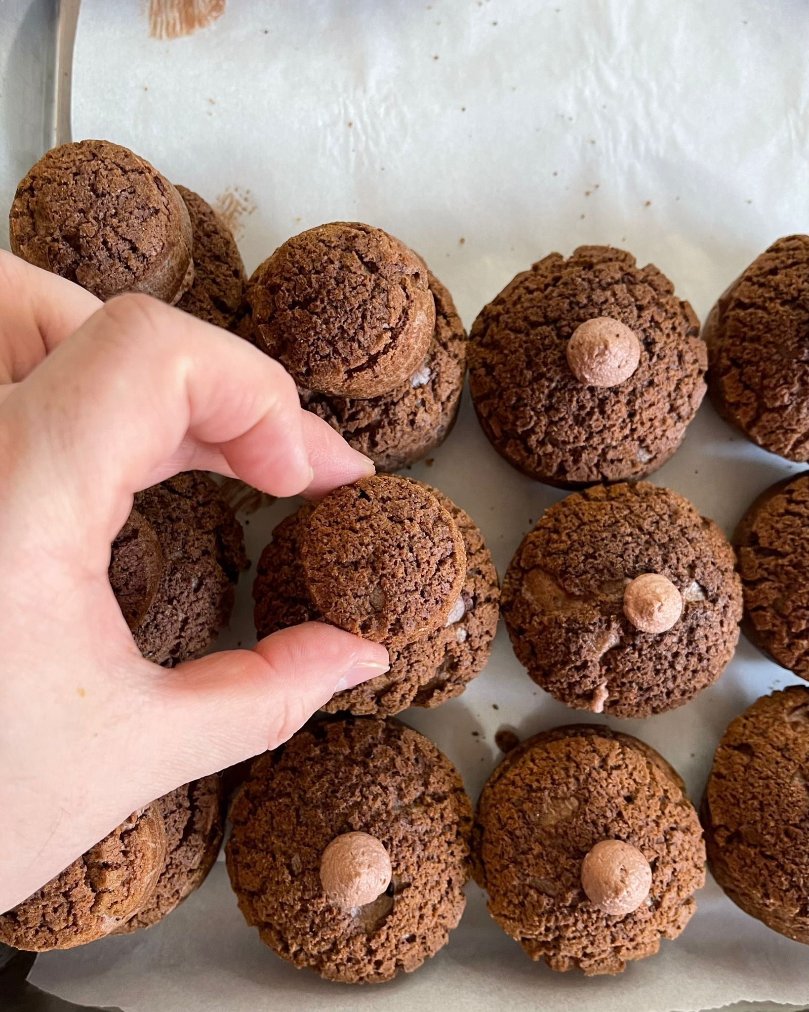 Una persona tiene in mano un biscotto al cioccolato.