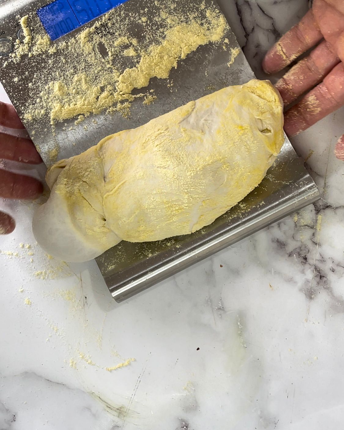 Panetti tondi e pronti per la seconda lievitazione della pizza bianca ricette.