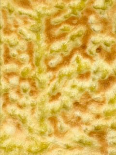 Un primo piano di un pezzo di pane che ne mostra la consistenza.