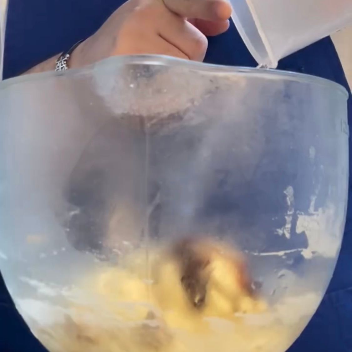 Aggiunta di lievito di birra e miele all'impasto riposato della pizza bianca.