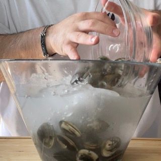 Vongole immerse in una ciotola con acqua e sale grosso per lo spurgo