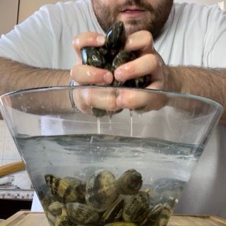 Vongole spurgate e scolate versate nella padella calda