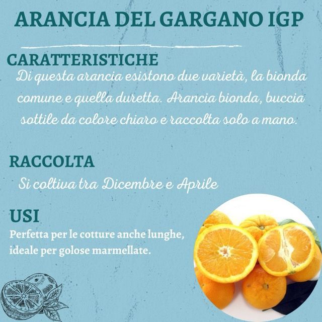 Una pubblicità per l'arancia del gargano igp con un'immagine di arance