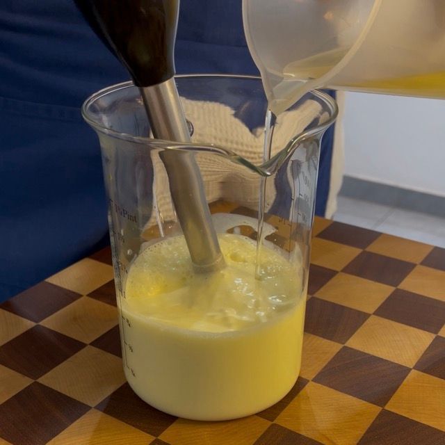 maionese fatta in casa