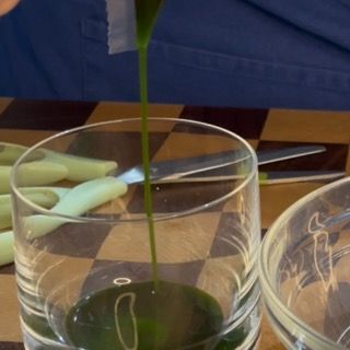 Travaso finale del limpido olio al basilico fatto in casa all'interno di un barattolo o contenitore di vetro.