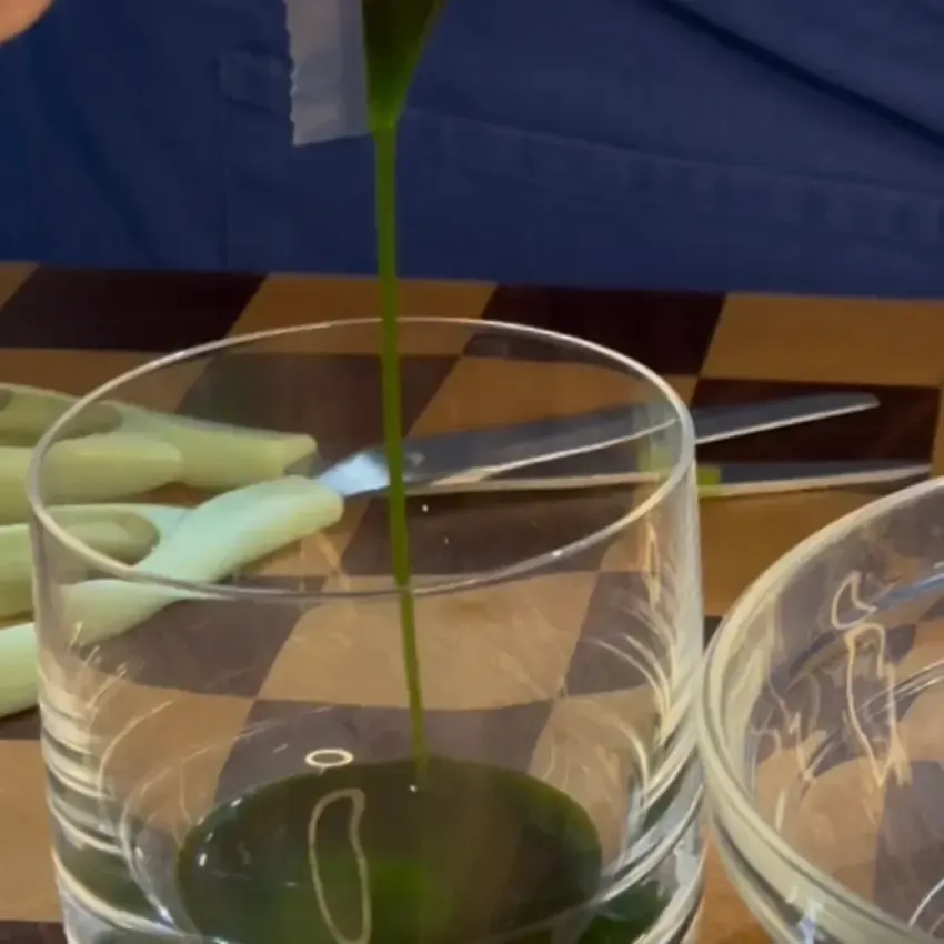 Un filo di olio al basilico fatto in casa e olio al prezzemolo veloce versato a crudo su un piatto per mostrare la fluidità e l'intensità del colore.