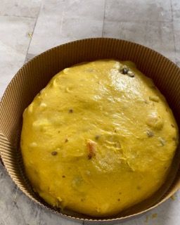 Panettone in lievitazione che raggiunge il bordo dello stampo