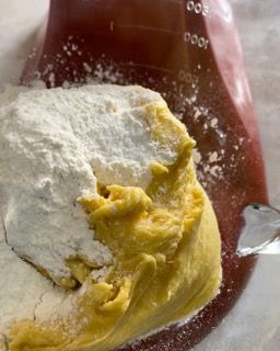 Primo impasto lievitato versato in planetaria con la nuova farina