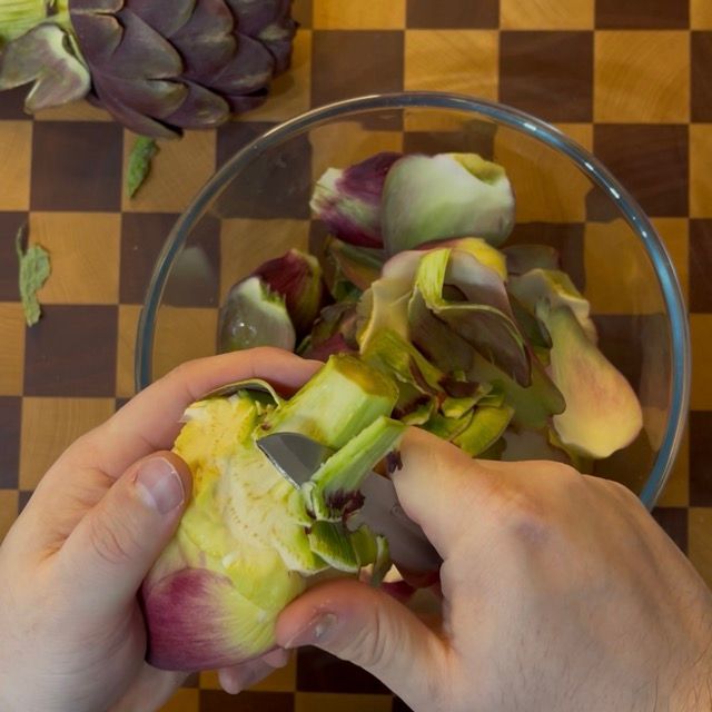carciofi vengono puliti e capati