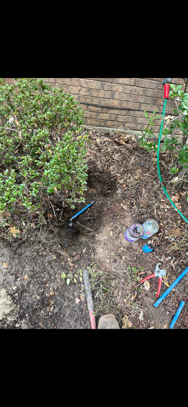 Small dirt patch with a hole, surrounded by plants and scattered debris near a brick wall.