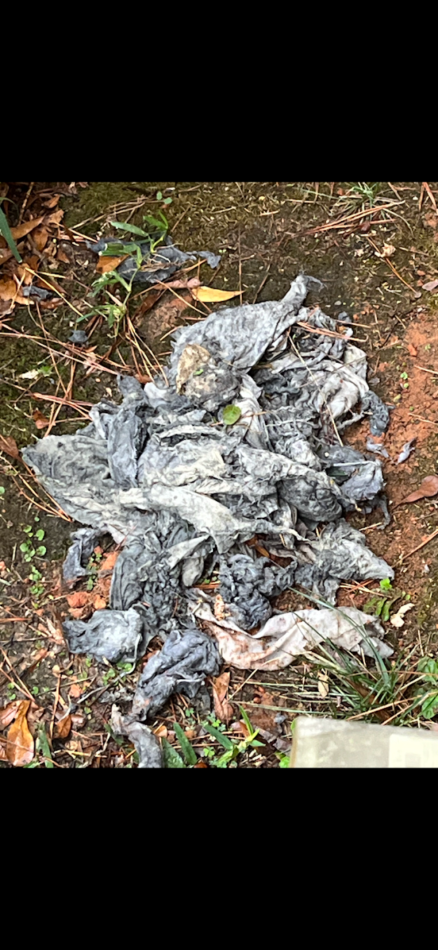 A gray, furry animal carcass or remains lying on damp leaves and dirt outdoors.