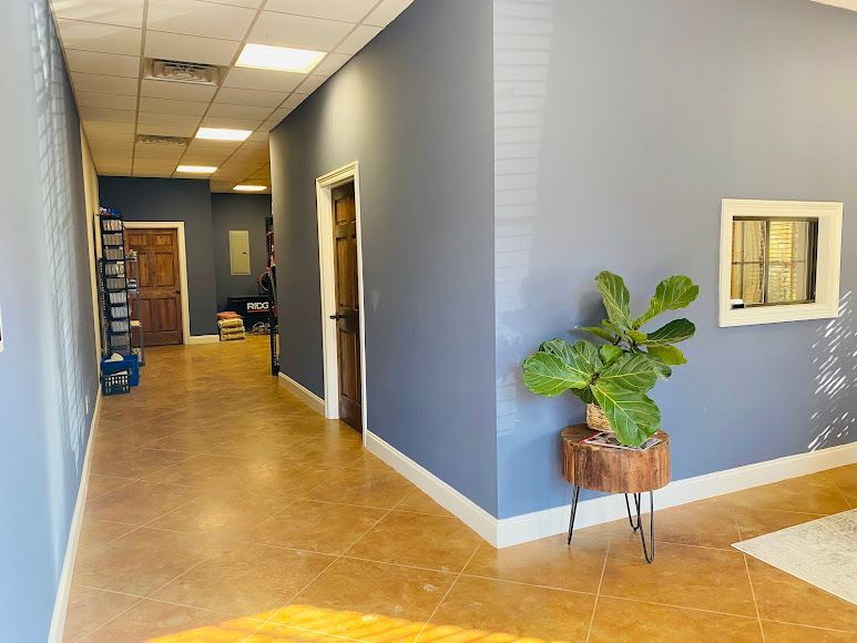 Blue hallway with tan floor, potted plant, and open doors in an office-like interior