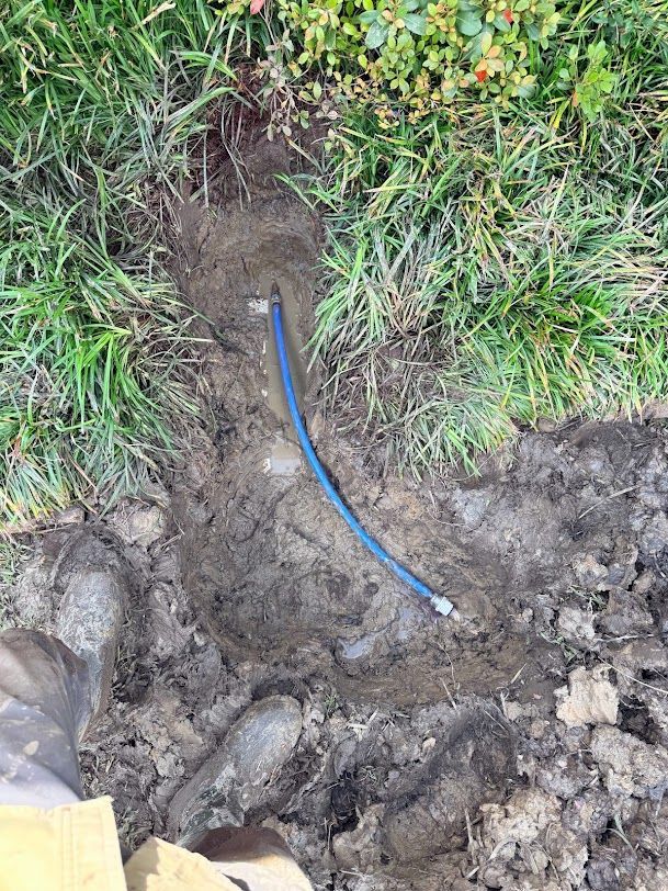 Blue cable emerging from a muddy trench beside grass and rocks