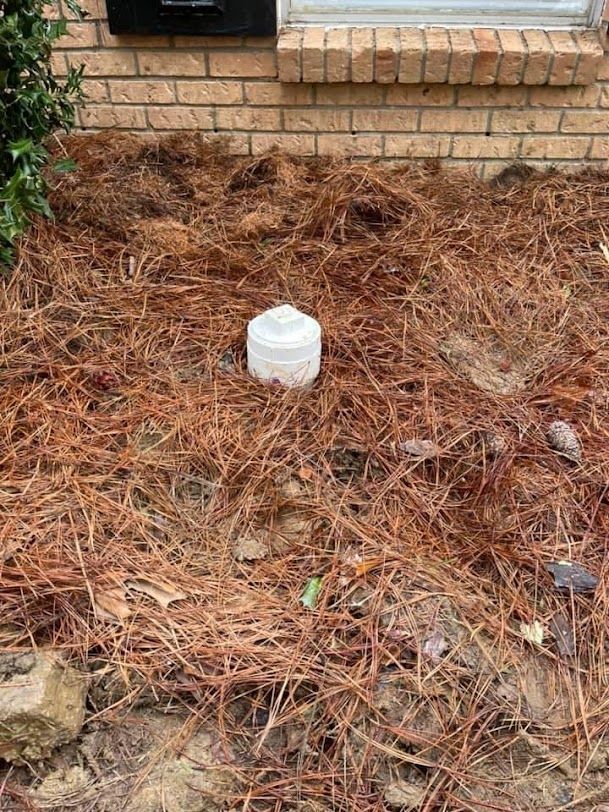 White plastic container in a dry pine-needle-covered garden bed beside a brick house wall.