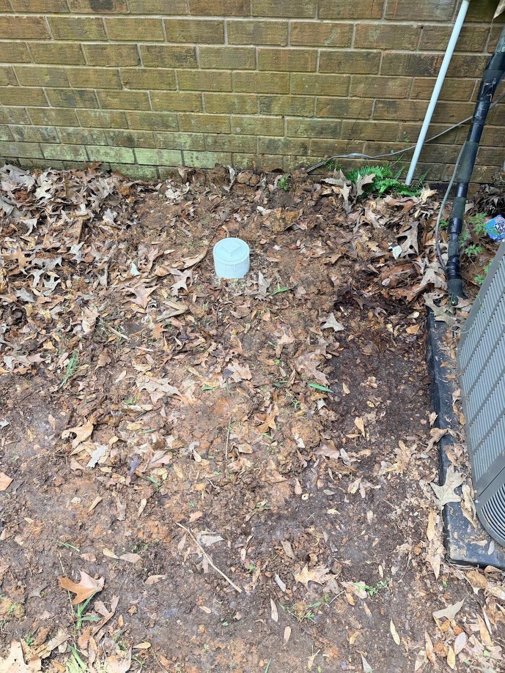 Leaf-covered ground by a brick wall with a small blue cap in the center and a fence on the right.