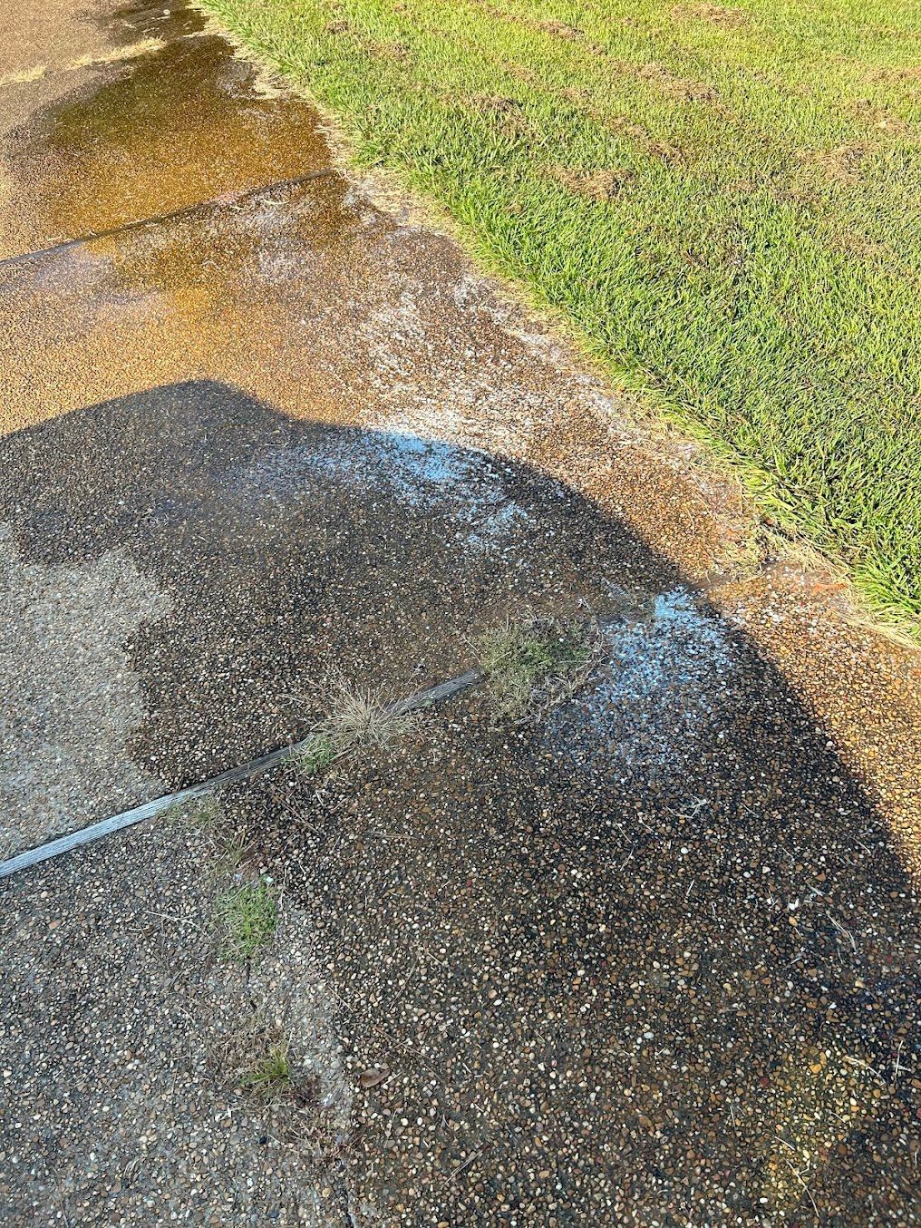 Wet gravel driveway next to green grass, with water pooling and a hose visible