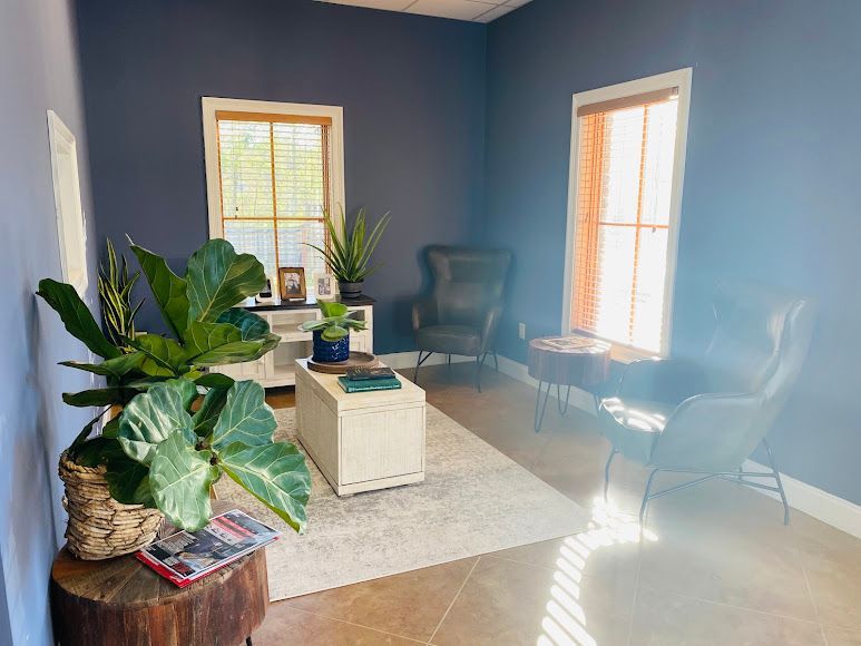 Blue living room with chairs, large potted plant, white rug, and bright windows