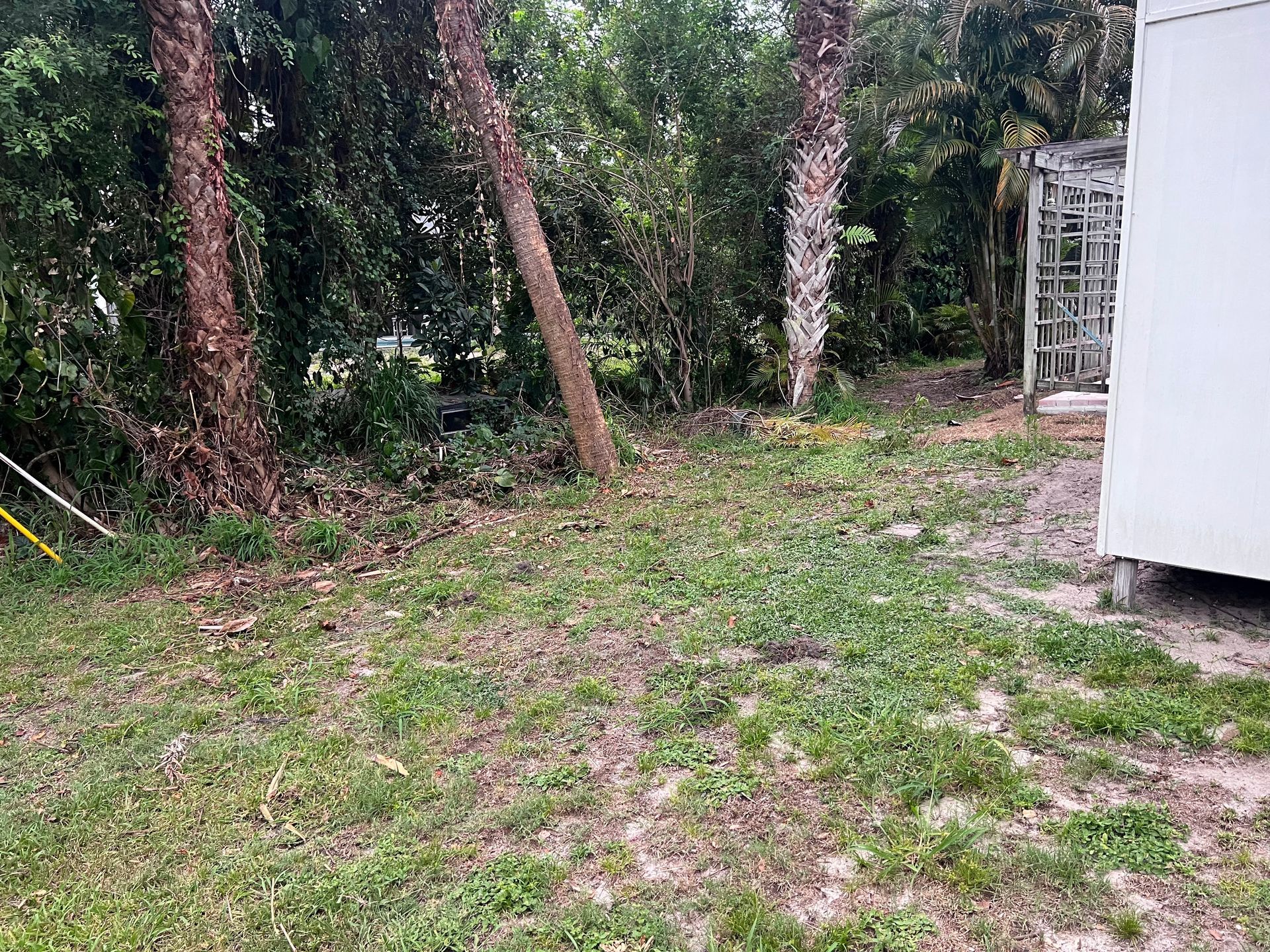 Yard Waste clean up