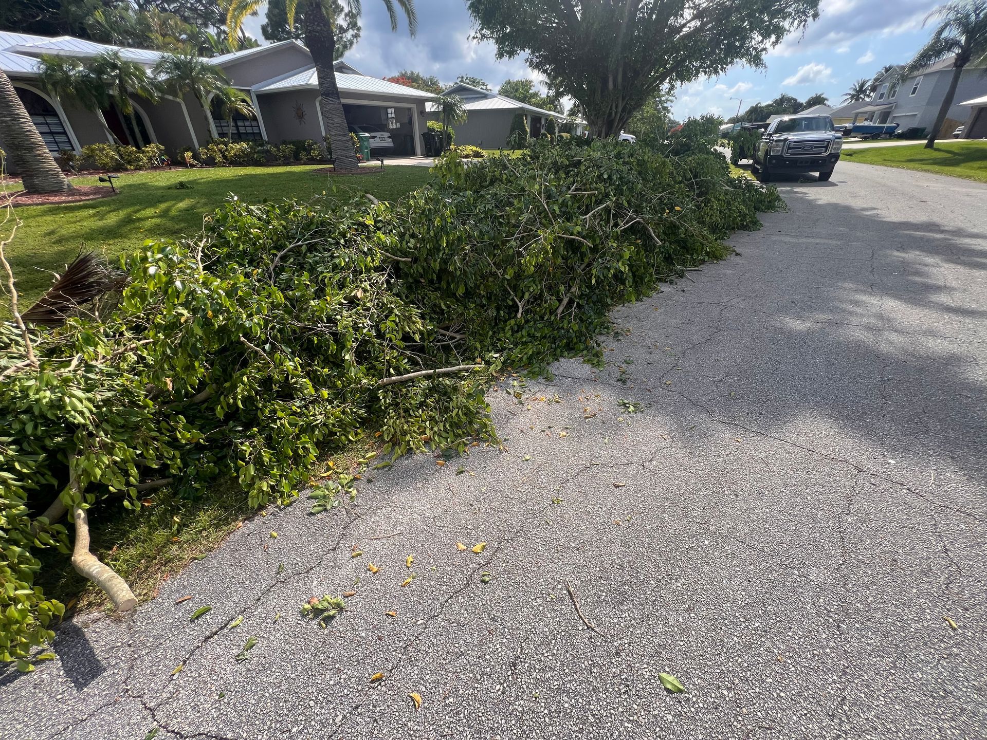 Post Storm Clean up