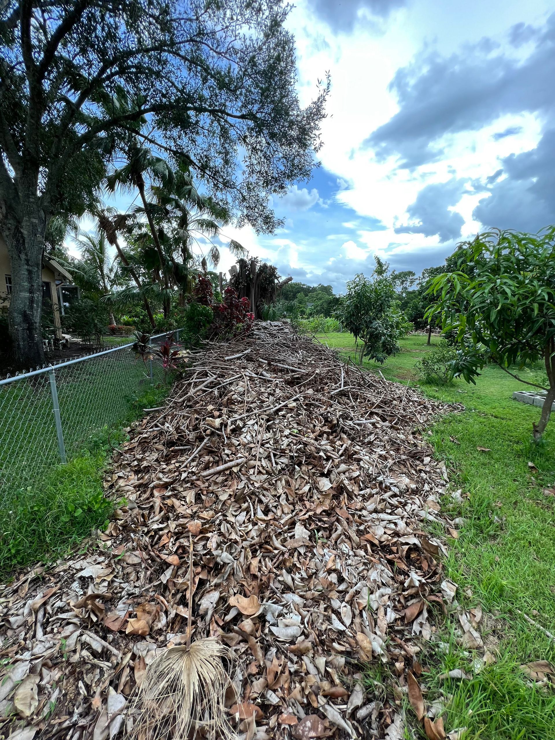 Leaves Cleaned Up before