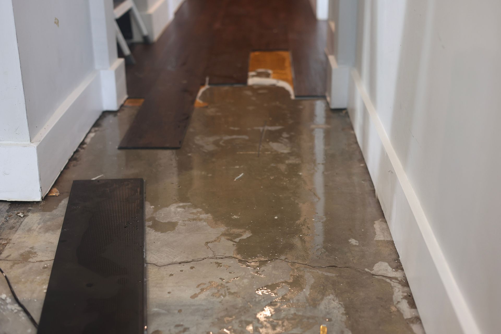 Water pooling on the concrete subfloor from a slab leak under removed flooring.