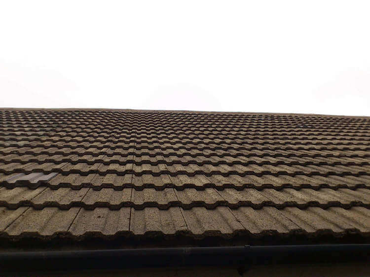 moss removal manchester