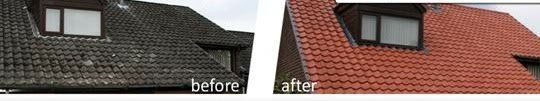 Roof Cleaning Urmston