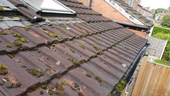 Roof cleaning service for Didsbury