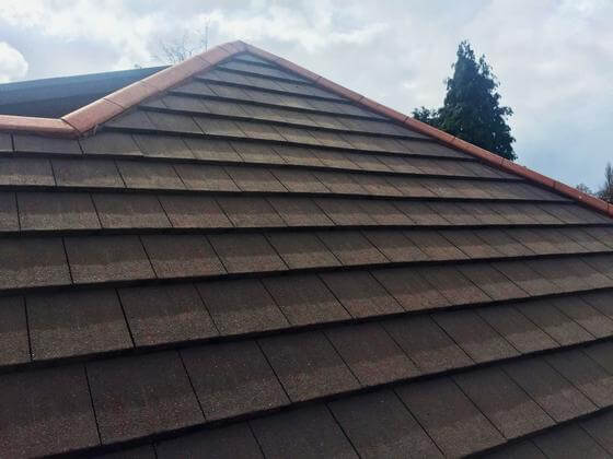 roof cleaning Cheshire East