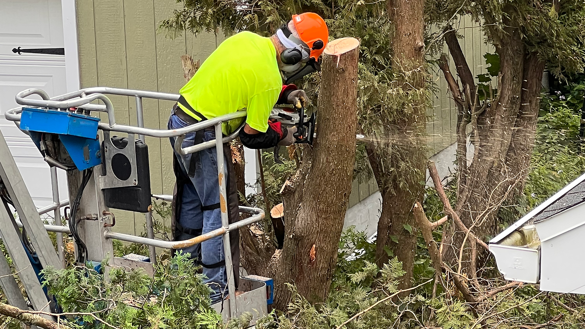 Professional Tree Cutting | Campeau Tree Cutting Service
