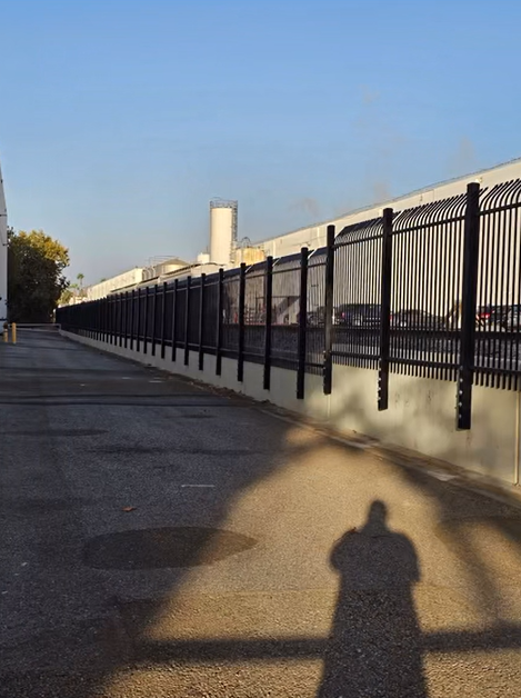 Long sidewalk beside a black metal fence, with a shadow cast on the pavement at sunset.