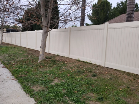 Backyard with white privacy fence, leafless trees, and grassy strip beside a sidewalk